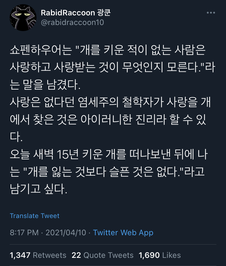 동물을 기르면 뼈저리게 느끼게 된다. 사랑이란 슬픔을 키우는 것.twt | 인스티즈