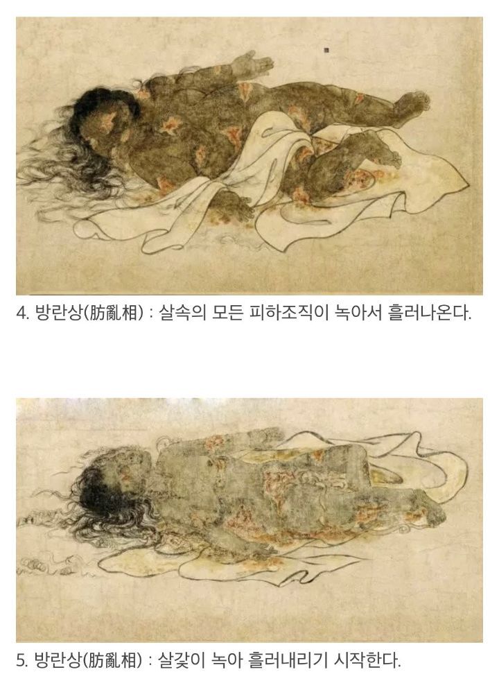 '구상도'로 보는 시신이 부패되는 과정 | 인스티즈