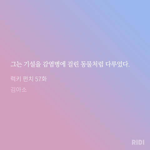 럭키펀치 이미지