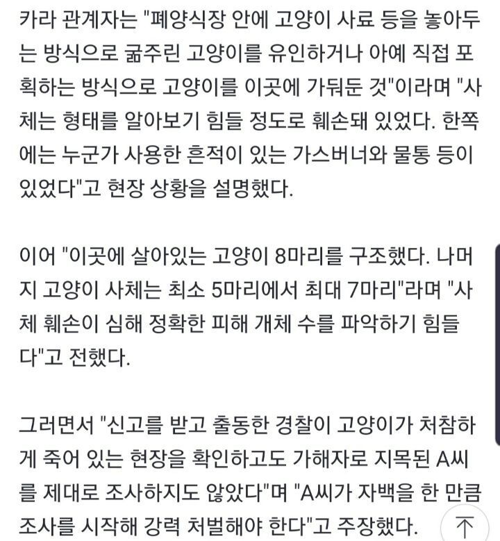 포항 20대 남, 임신 고양이 배 가르고 7마리 고양이 연쇄 잔혹 살해(기사 추천) | 인스티즈