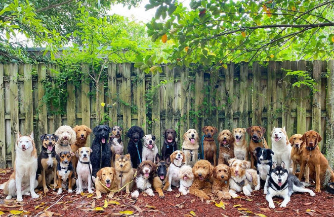 697dce70193991cc788ed8335fc13c20f2a89cd3