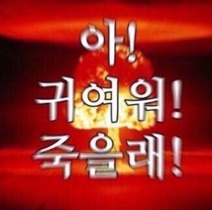이상한 짤 | 인스티즈