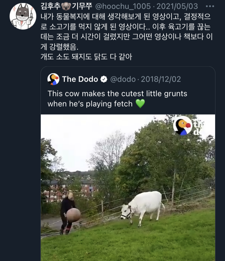 동물을 기르면 뼈저리게 느끼게 된다. 사랑이란 슬픔을 키우는 것.twt | 인스티즈