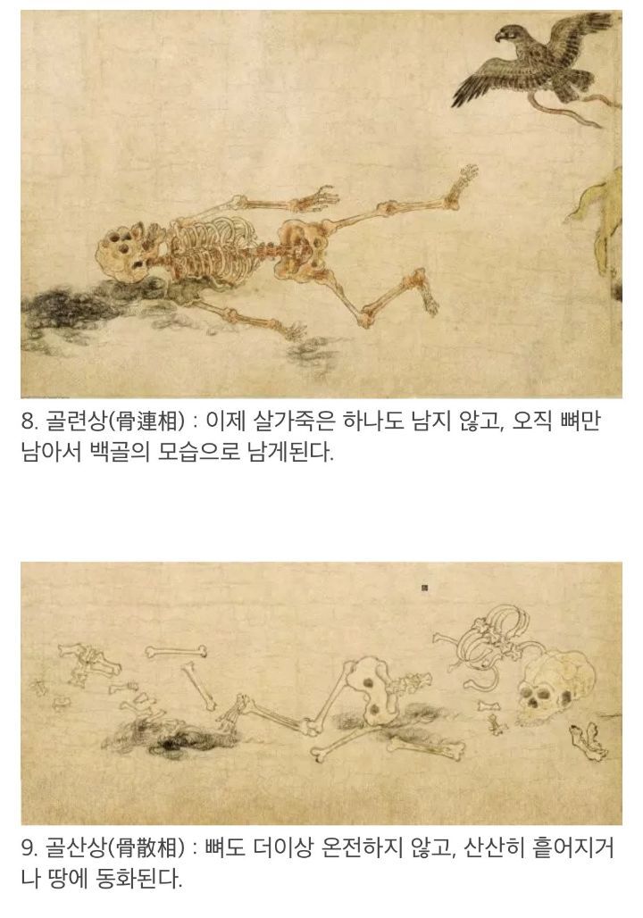 '구상도'로 보는 시신이 부패되는 과정 | 인스티즈