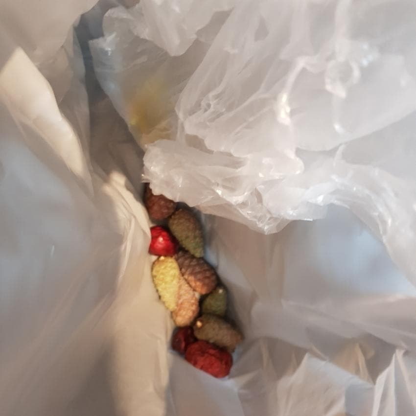 70581e09a0bee2a578234e4e4632e83b0a829bed