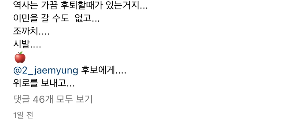 이재명 지지자 인스타인데 50 60대 아저씨인데ㅋㅋ말투 개웃겨 | 인스티즈