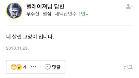 삵이에요? 고양이에요? 완전 오동통해 | 인스티즈