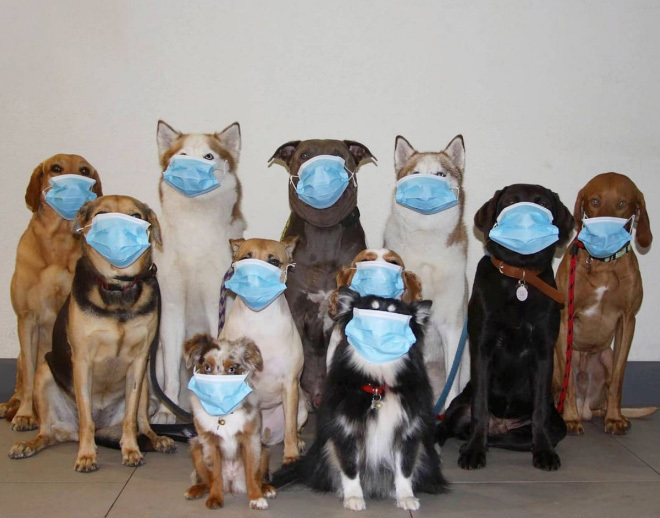 74db0adf97f61bd74dcb446305e195efcd1c0e83