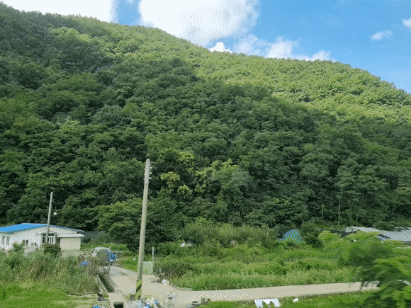 의외로 많은 사람들이 모르는 갤럭시 카메라 기능 | 인스티즈