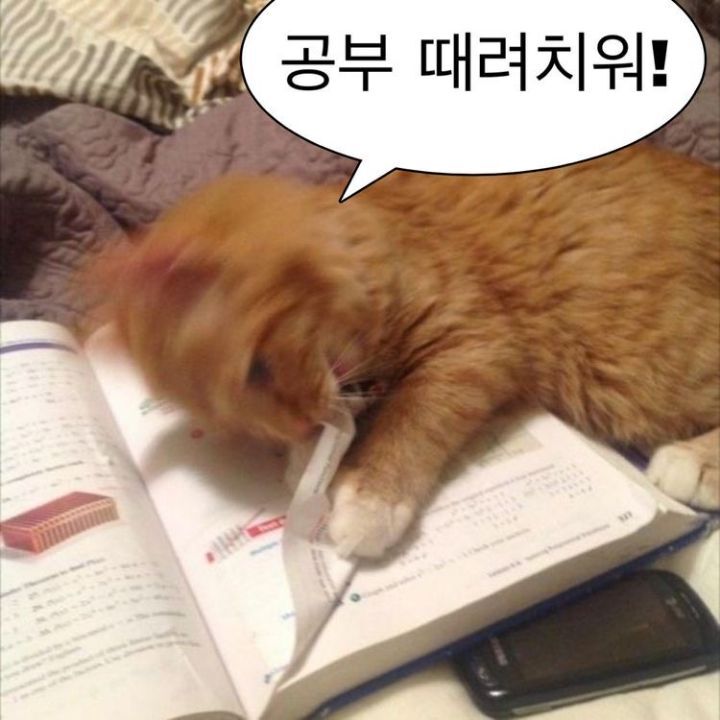 시험이 얼마 남지 않았지만 공부하기 싫은 사람들의 모임 | 인스티즈