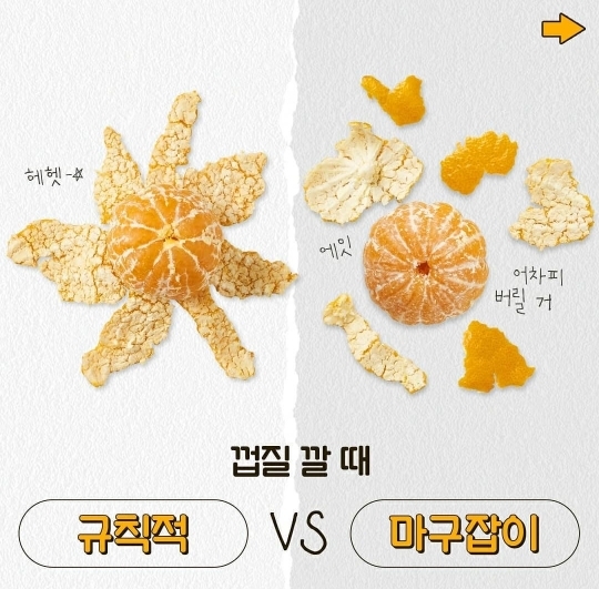 나의 귤 취향은?? | 인스티즈
