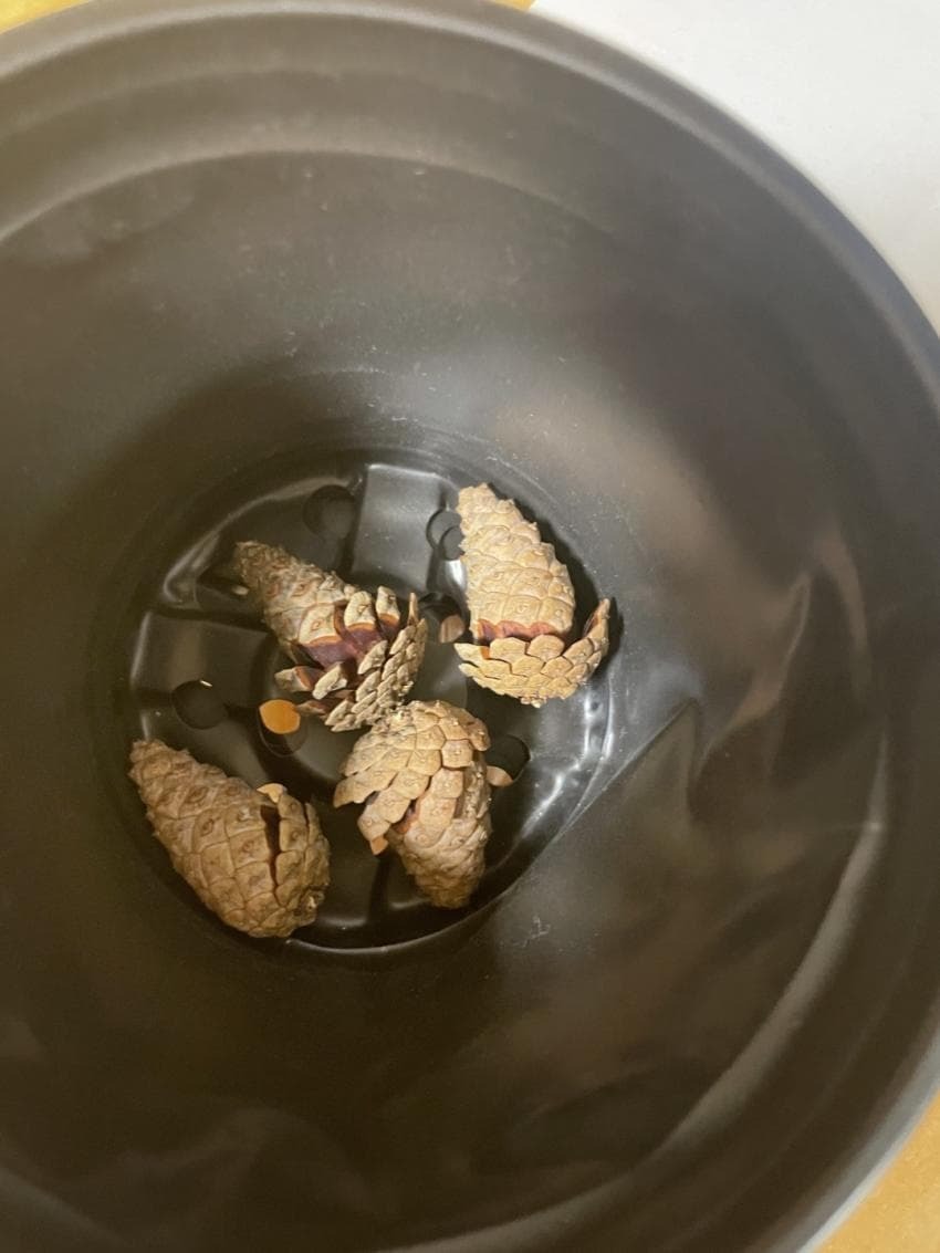 796a87adf9fe7c2787b60e026e3712606ebb13fc