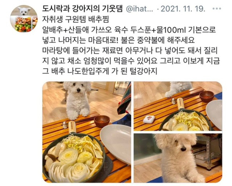 찜들 이미지