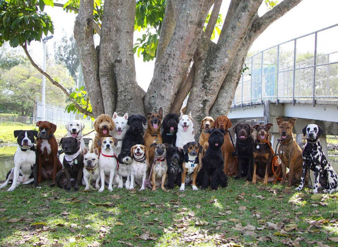 7b569958a4b6e17e5c146d0d8d37fc72be7fef23