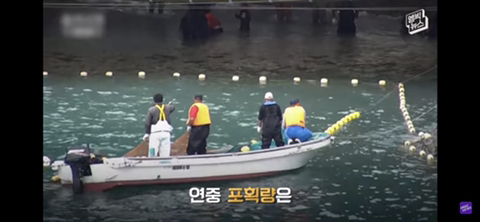 잔인한 고래사냥 전통 | 인스티즈