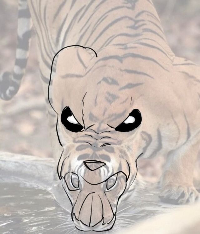 호랑이 귀에 하얀 점이 있는 이유.jpg | 인스티즈