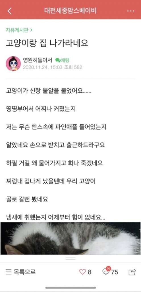 남편이 고양이랑 집 나가라네요 | 인스티즈