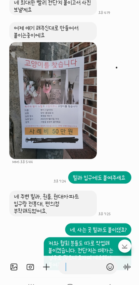고양이 입양해 칼로 난도질한 후 길에 유기 (사진주의) | 인스티즈