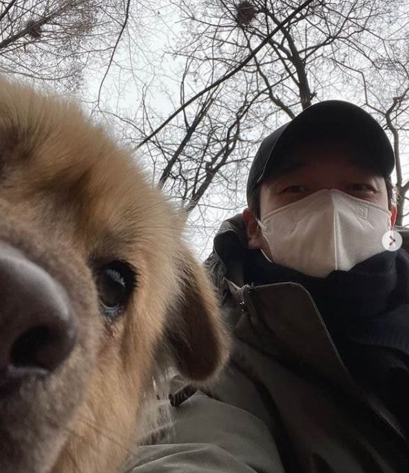 유기견, 유기묘를 입양한 연예인들 | 인스티즈