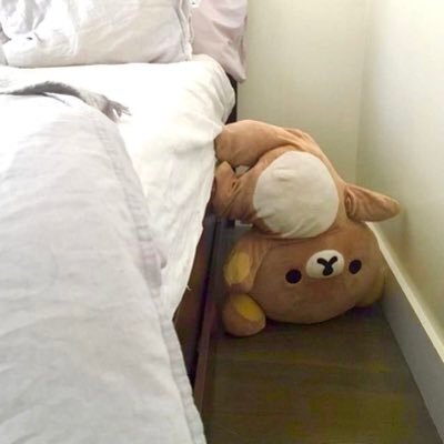 산미 이미지