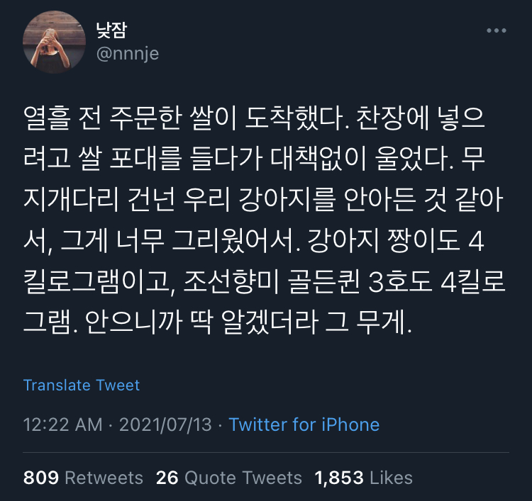 동물을 기르면 뼈저리게 느끼게 된다. 사랑이란 슬픔을 키우는 것.twt | 인스티즈