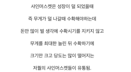 요즘 샤인머스켓이 맛 없어진 이유 | 인스티즈