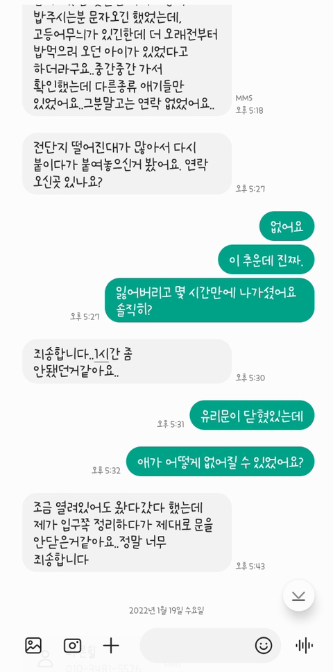 고양이 입양해 칼로 난도질한 후 길에 유기 (사진주의) | 인스티즈