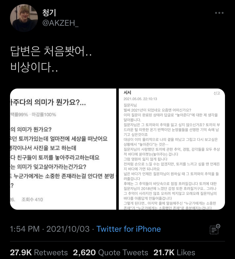 사랑에 유통기한이 있다면 내 사랑은 만년으로 하고 싶어.twt | 인스티즈