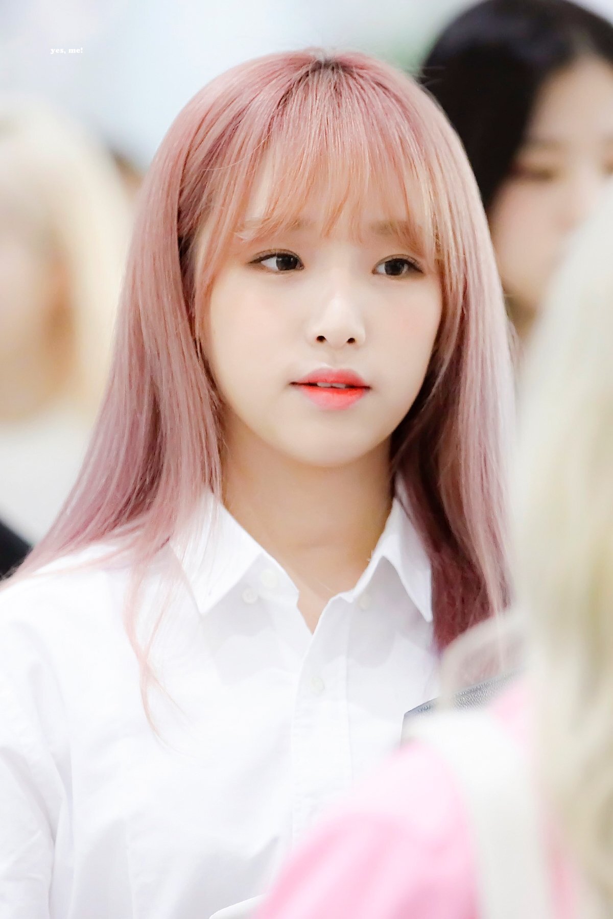 💕 핑크 머리 아이돌 사진 모음 💕 | 인스티즈