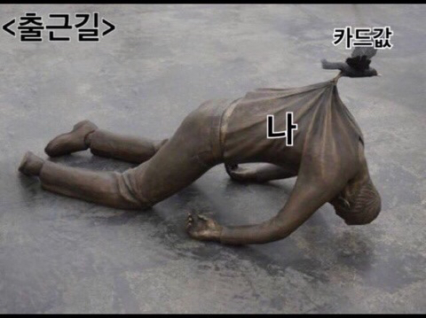 신카 이미지