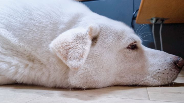 참,어 이미지