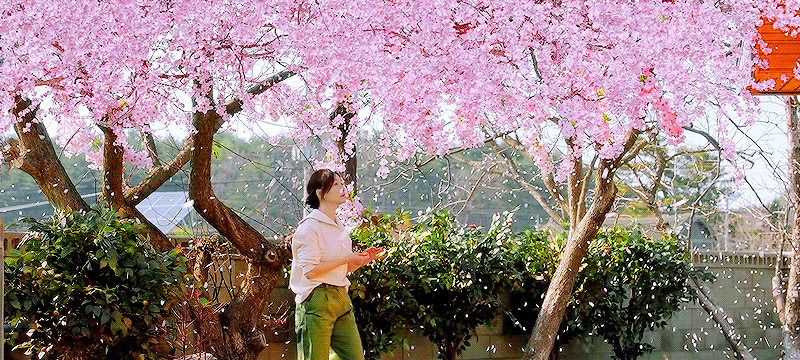 선우정아 '도망가자' 중 가장 위로 됐던 구절은? | 인스티즈