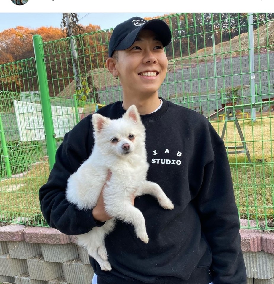 유기견, 유기묘를 입양한 연예인들 | 인스티즈