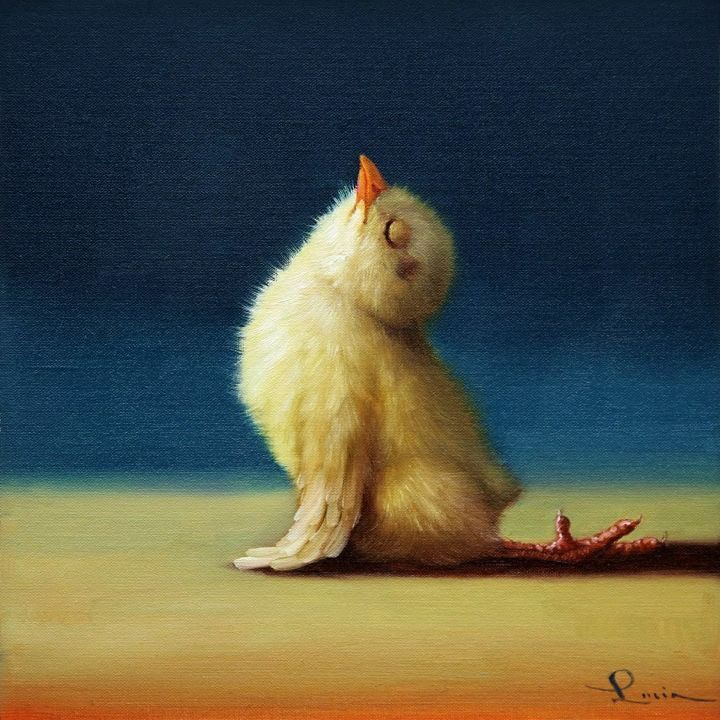 보면 기분 좋아진다는 요가하는 병아리 | 인스티즈