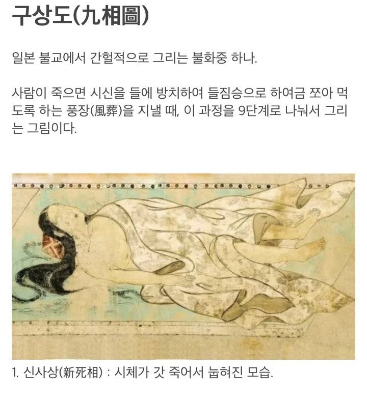 '구상도'로 보는 시신이 부패되는 과정 | 인스티즈