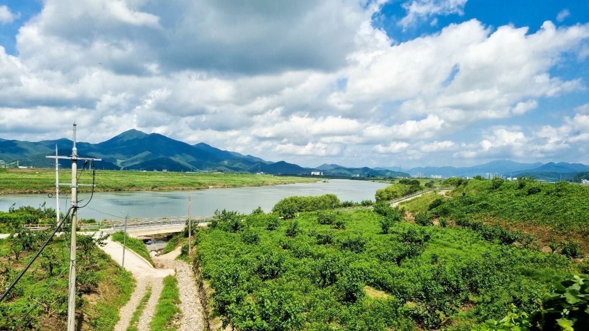 의외로 많은 사람들이 모르는 갤럭시 카메라 기능 | 인스티즈