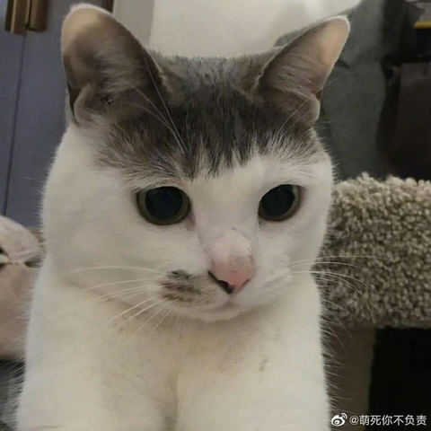 언니 앞머리 다시 잘라줘 | 인스티즈