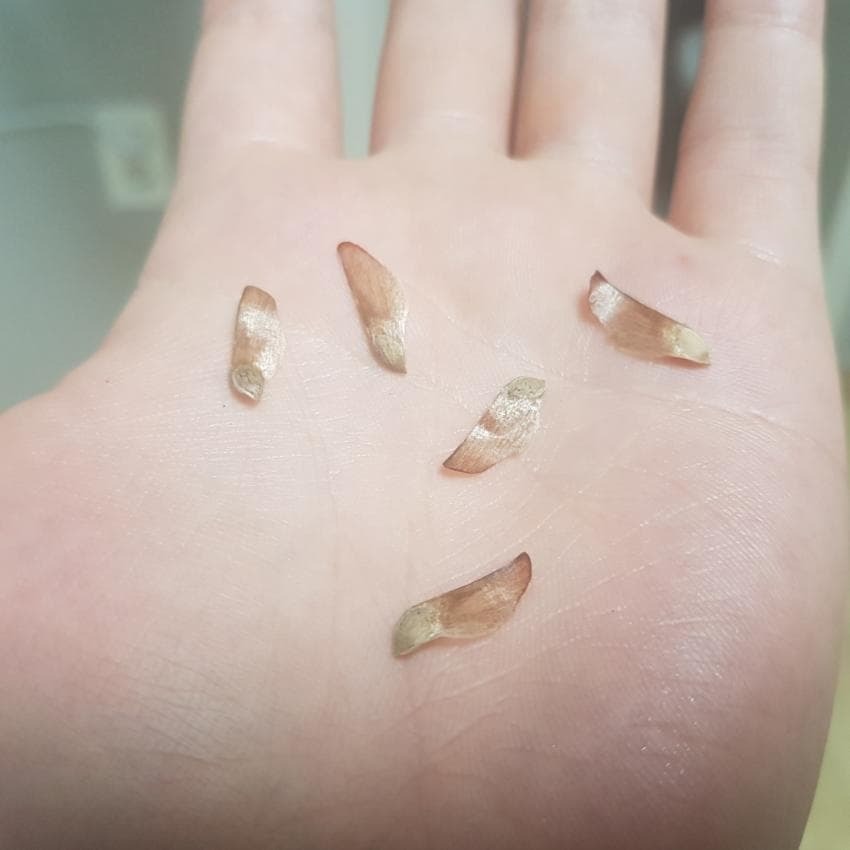 a5574fb4be8b26e6b2af00789e59ed214eab2f46