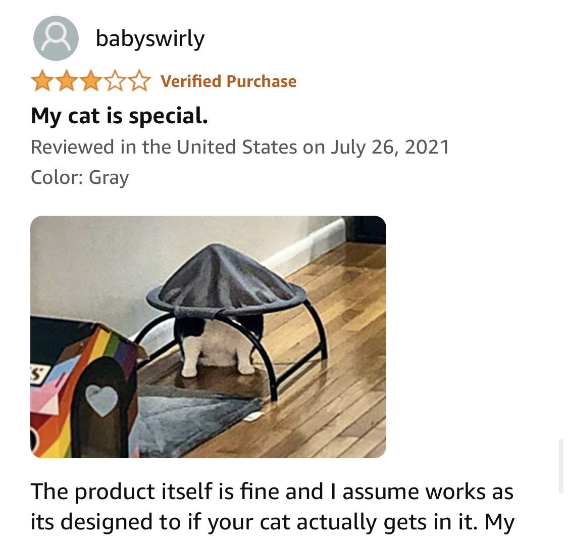 고양이 해먹 후기 | 인스티즈