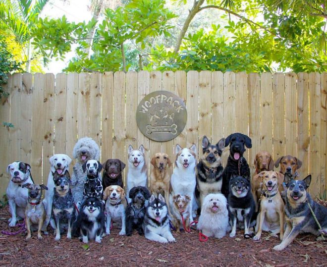 af87ee813e889366c9b327ed6cb458564d25a859