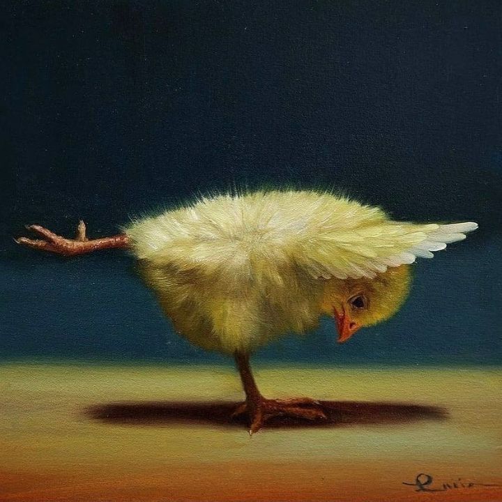 보면 기분 좋아진다는 요가하는 병아리 | 인스티즈