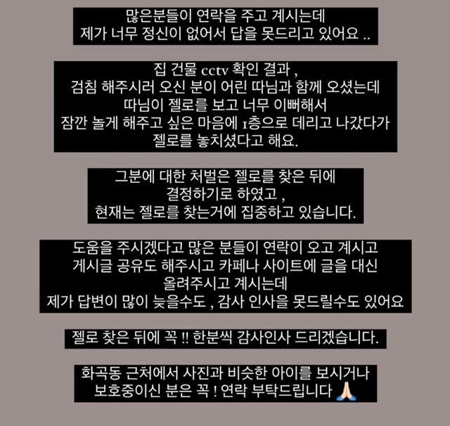 가스검침원이 마음대로 강아지를 데리고나가서 잃어버림 | 인스티즈