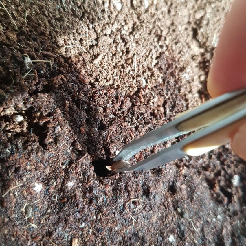 b85ec1203bc2f2db86e614f974edcd8b777ddb74