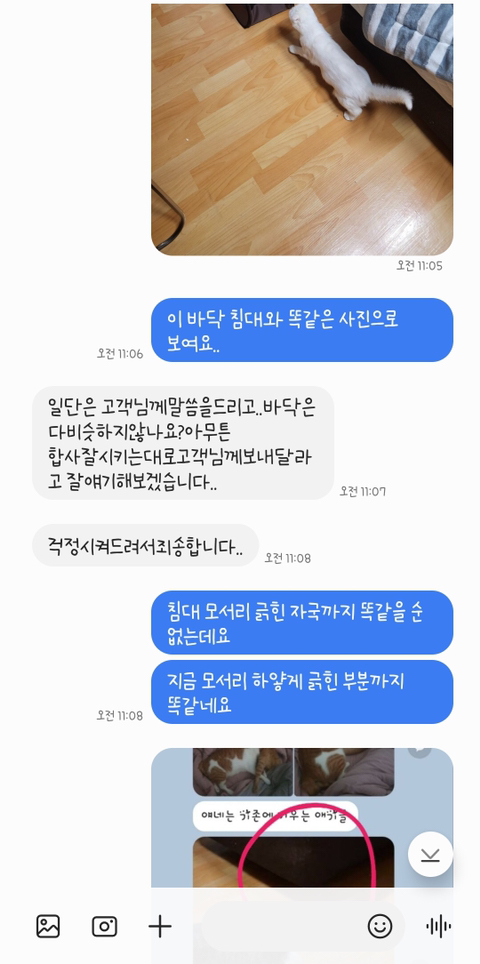 고양이 입양해 칼로 난도질한 후 길에 유기 (사진주의) | 인스티즈