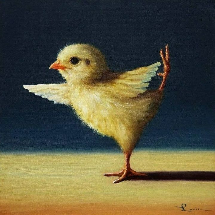 보면 기분 좋아진다는 요가하는 병아리 | 인스티즈