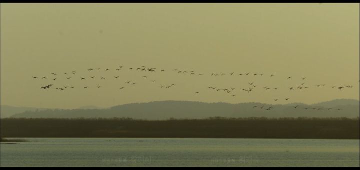 "아이의 엄마가 되어주고 싶었는데 유괴범이 되었어요...전 아이의 엄마가 될 수 있을까요??" | 인스티즈