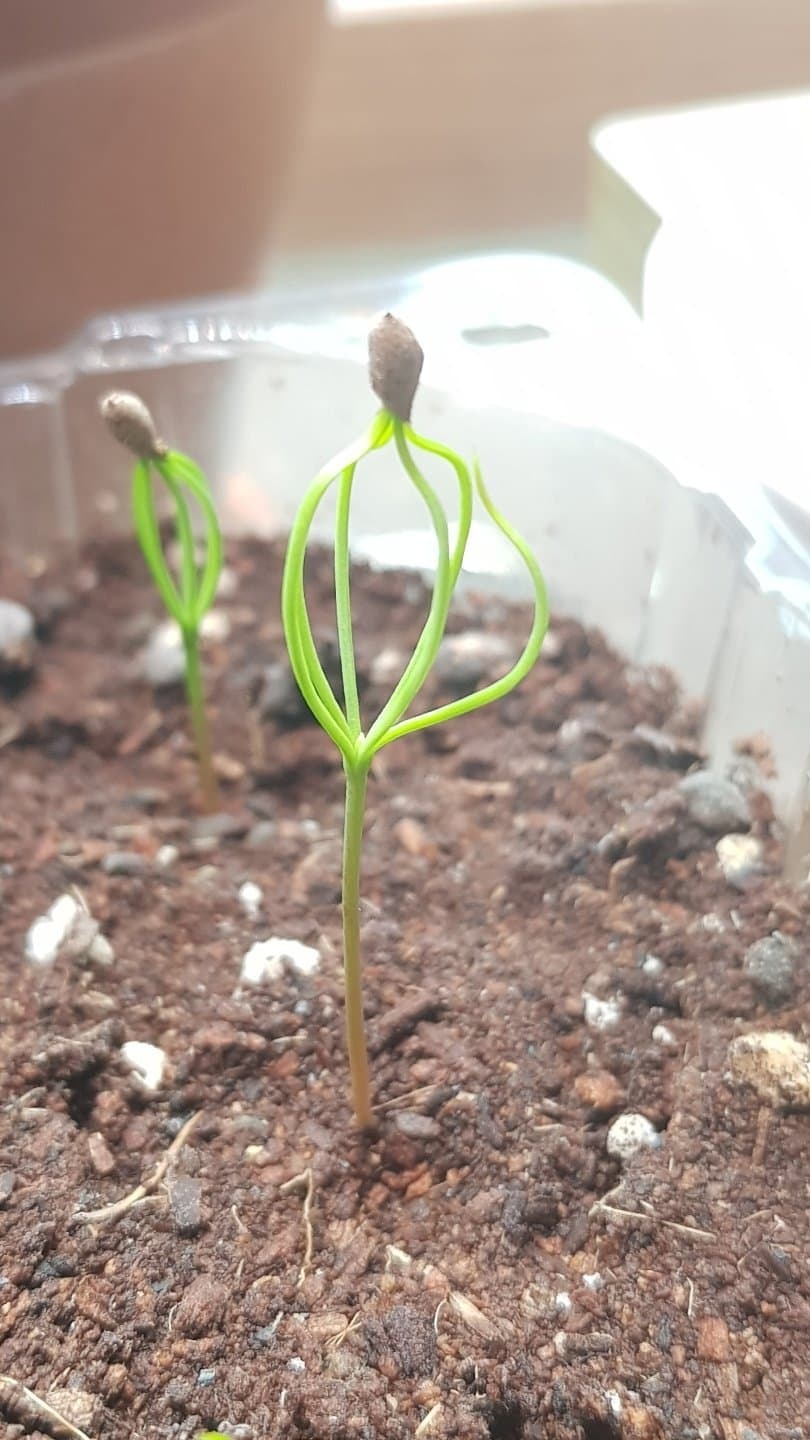 bd7a12a30c2f9ab2f506aeb5c8ea8c78134b876b