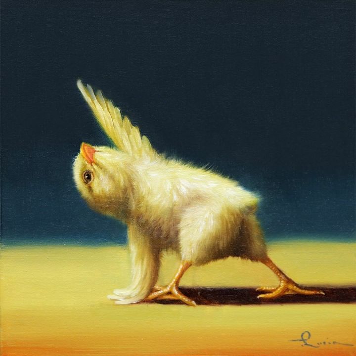 보면 기분 좋아진다는 요가하는 병아리 | 인스티즈