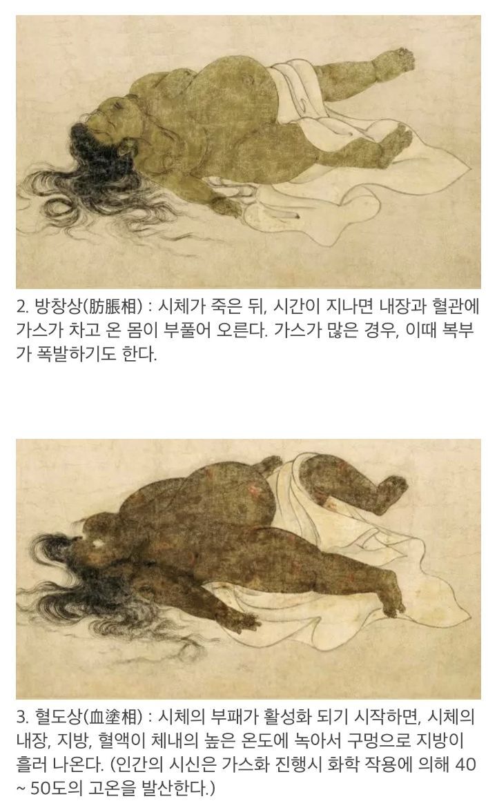 '구상도'로 보는 시신이 부패되는 과정 | 인스티즈
