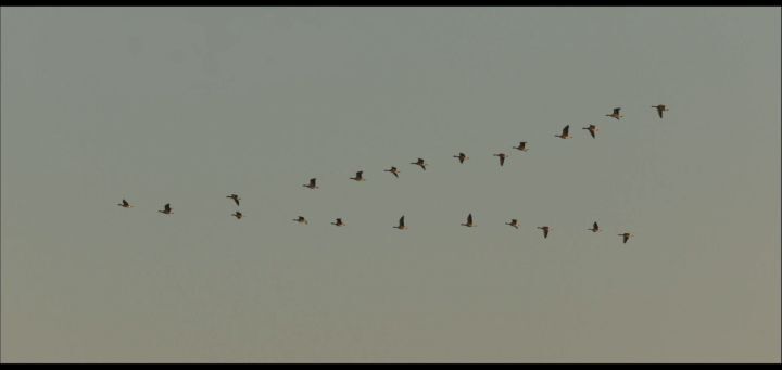 "아이의 엄마가 되어주고 싶었는데 유괴범이 되었어요...전 아이의 엄마가 될 수 있을까요??" | 인스티즈